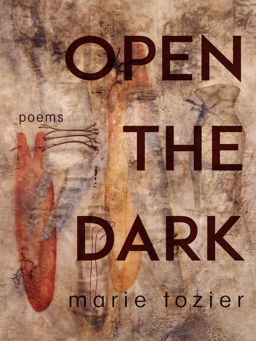 Title details for Open the Dark by Marie Tozier - Available